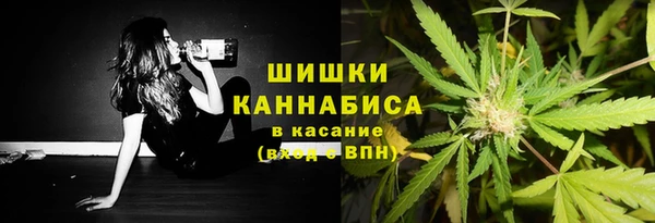 СК Верея