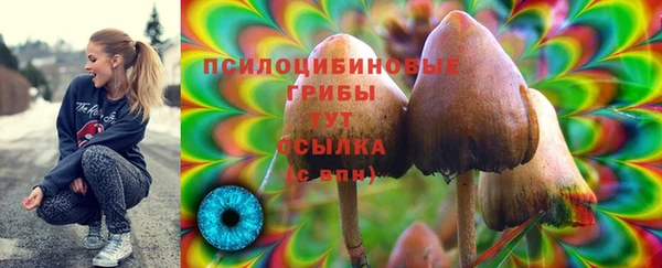 a pvp Волоколамск