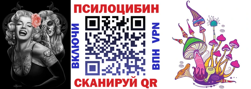 как найти закладки  Рославль  Псилоцибиновые грибы Psilocybe 